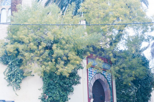 Arabic mosaic on a wall is one of the feature of  Andalusia