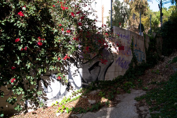 We got lost and enter some private apartment area, The residents kindly showed a way out.