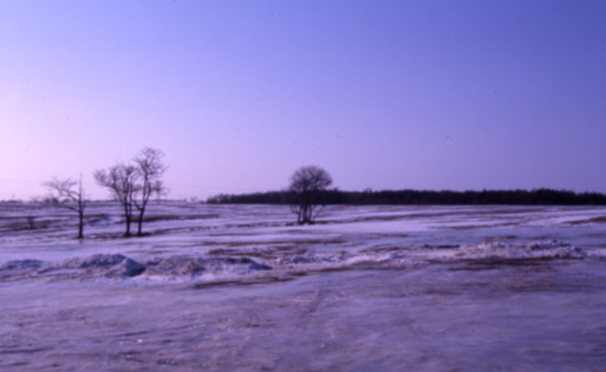 2001winter.jpg